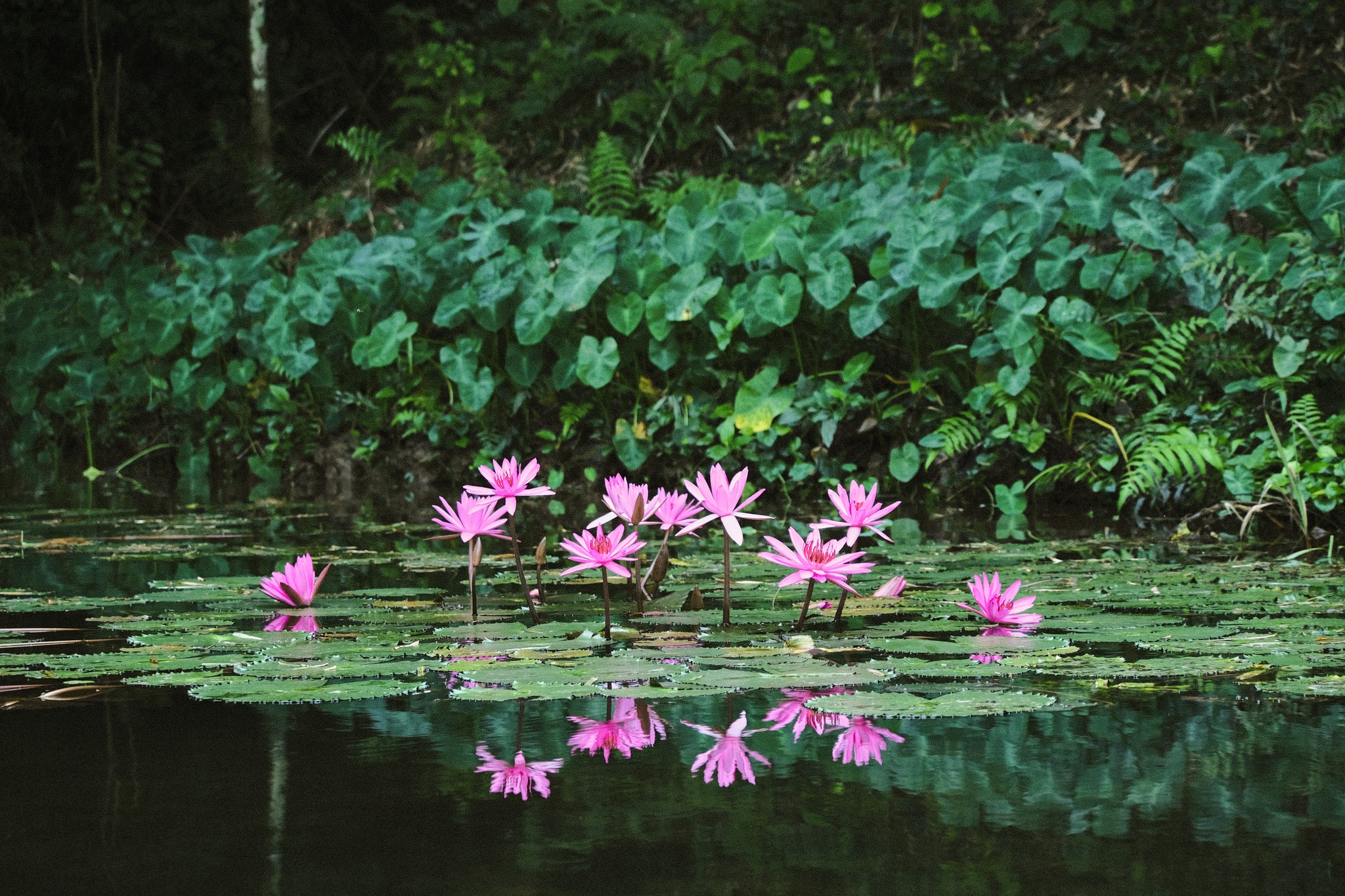 548139454 1217544227085988 5502890214497488808 n