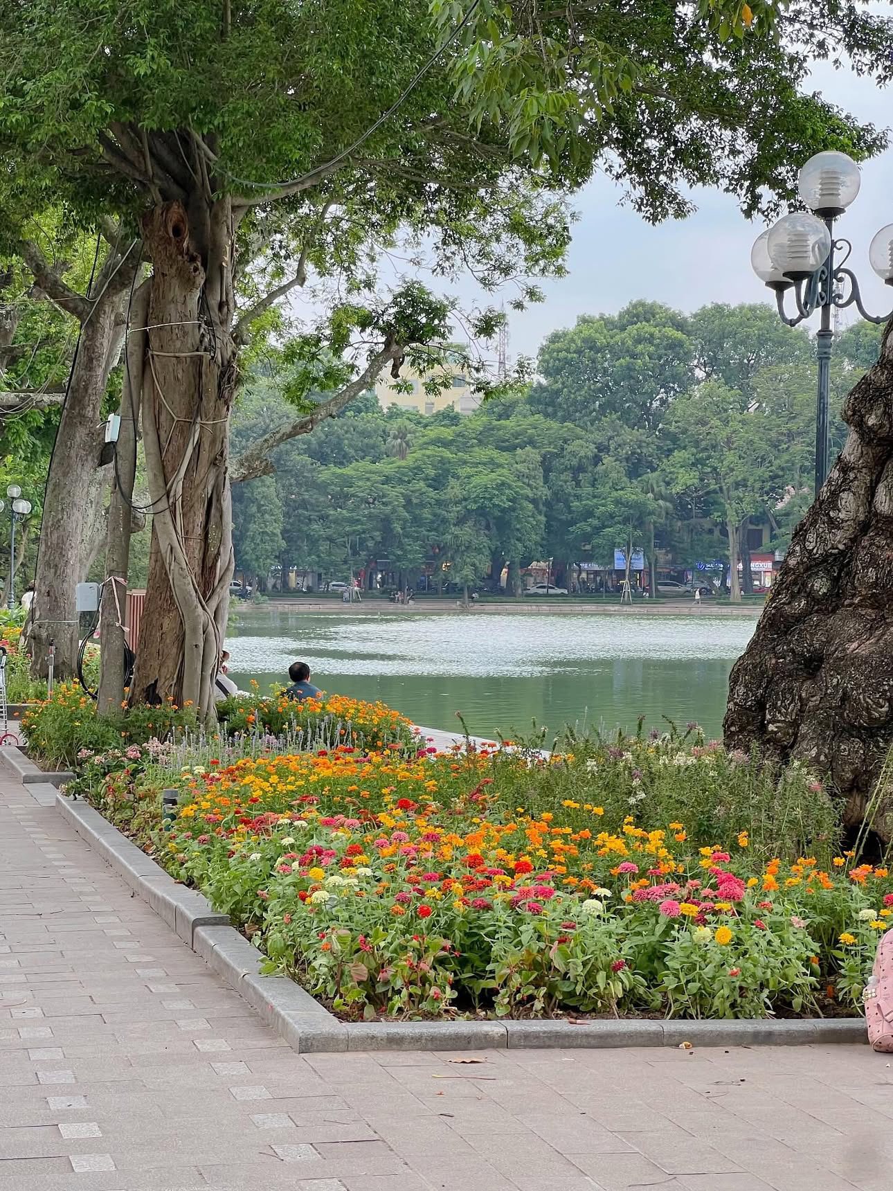 548276092 4091071804465775 8905423251877122851 n