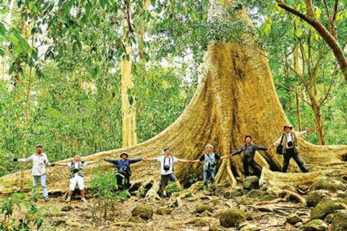 26243 tkemix8f 670x446